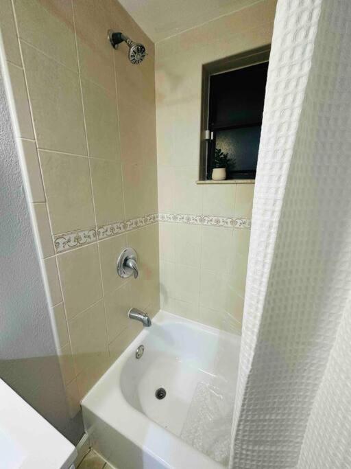 Coral Gables Miami Studio Near Airport And Beaches Ngoại thất bức ảnh